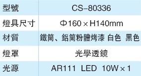 AR111 LED 10W x 1 吸頂燈